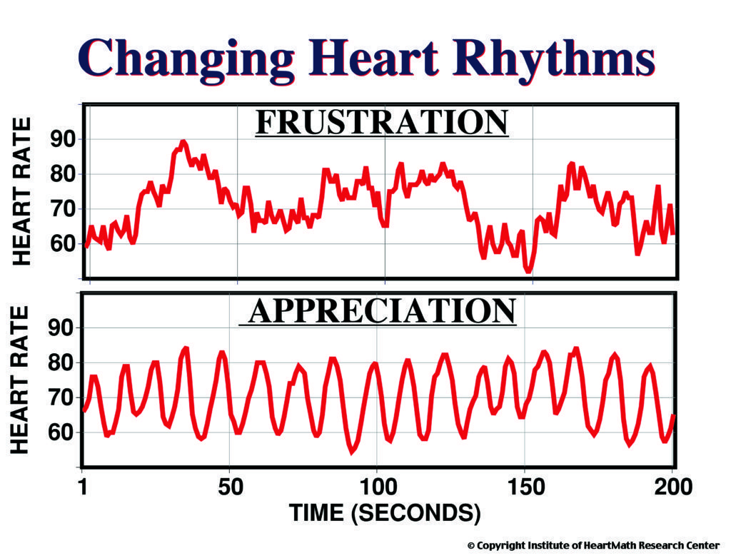 Changing Heart Rhythms Frustration and Appreciation