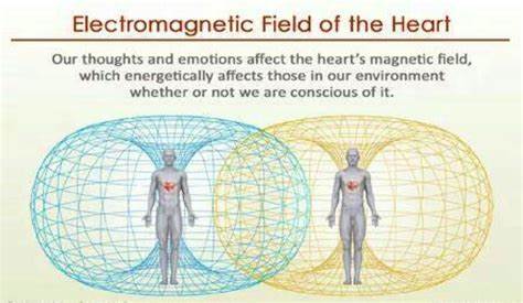 Electromagnetic Field of the Heart