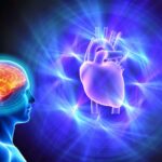 Heart-Brain Coherence: Let Your Heart Talk to Your Brain