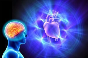 Heart-Brain Coherence