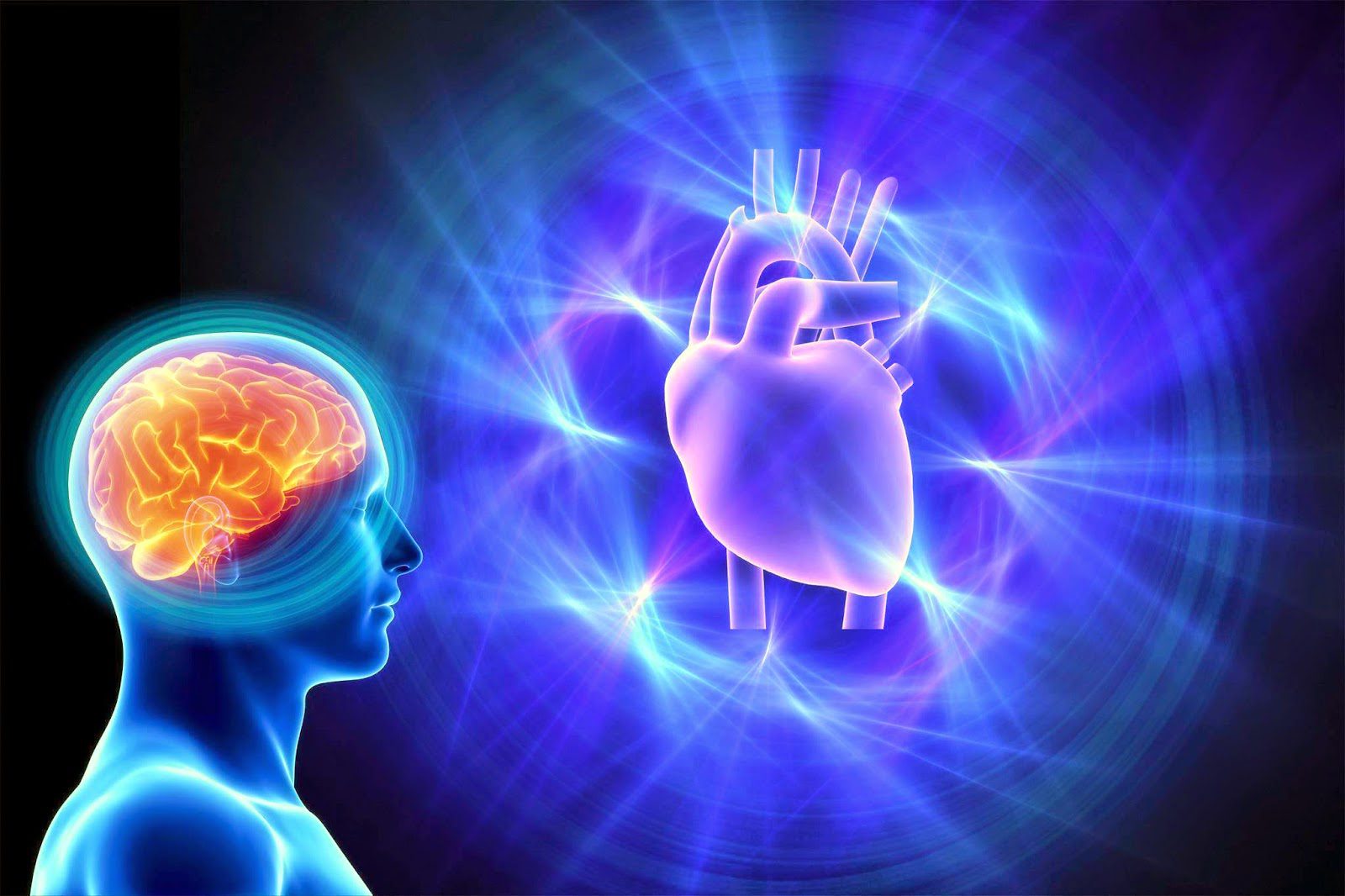 You are currently viewing Heart-Brain Coherence: Let Your Heart Talk to Your Brain