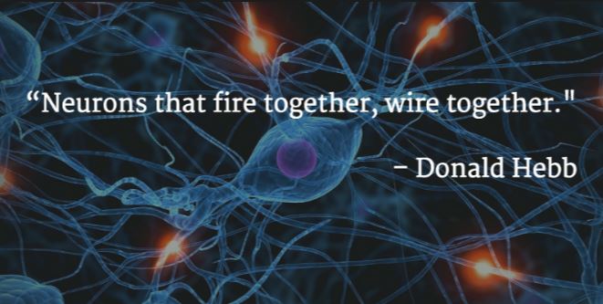 hebbs law neurons that fire together wire together