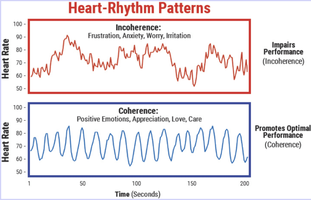Heart Rhythm Patterns