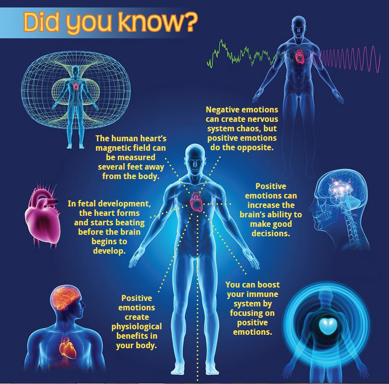 heart has a brain magnetic fields