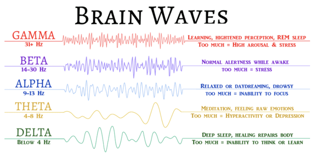 Brain Waves High Beta