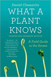what a plant knows chamovitz