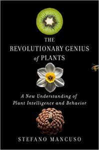 can plants think