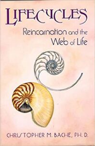 life cycles of reincarnation
