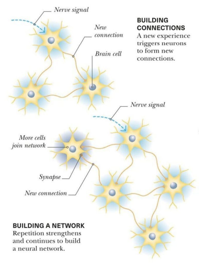 building new neural pathways