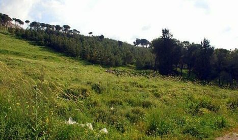 Countryside near modern Nazareth
