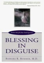 Bookcover: "Blessings in Disguise"